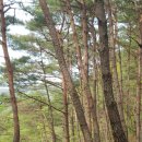 먹방농장 이미지