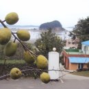 서도면사무소 이미지