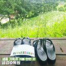 황토메타길 | [세종] 가족과 가볼 만한 &#39;금강 수목원&#39; 입장료, 주차비, 관람시간 : 황토메타길, 열대온실 등