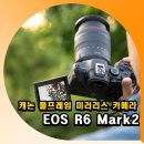 R6 | 캐논 풀프레임 미러리스 카메라 EOS R6 Mark2 4K 동영상 촬영후기