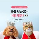 댕냥이키친 이미지