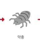 아토웰의원 이미지