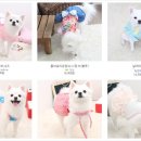 멍멍 스타일 이미지