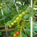 아이나라어린이집 이미지