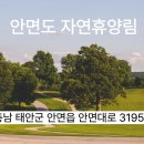 안면도자연휴양림 | 안면도 자연휴양림 휴양관 4호 방문 후기