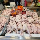 싱싱닭집 이미지