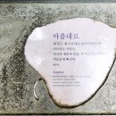솔바람길 이미지