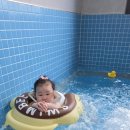 풀홀릭리조트펜션 네이버블로그