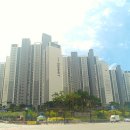 위례숲초등학교 이미지