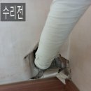 17.중부팬더 이미지
