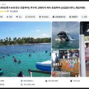 꿀잼# | 푸꾸옥 크레이지 호핑투어 리얼 찐 꿀잼 후기