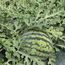 답곡2리마을회관 이미지