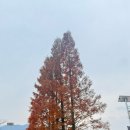 광명로 323번길 이미지