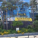 라운지펫 이미지