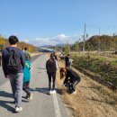 남선초교 이미지