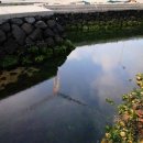 용당포구 이미지