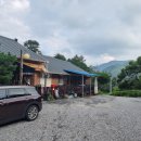 숲으로 가는 길 이미지