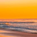 모스트(MOST) 이미지