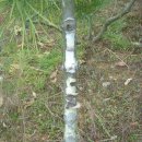 백송농장 이미지