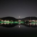 양력과 음력에 대한 소고 이미지