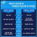 코랜드 이미지