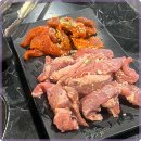 신마포갈매기 이미지