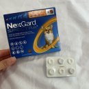 대구약국 이미지