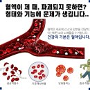 더바른약국 이미지