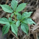 할매밥집 이미지