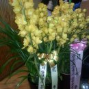 신석체육관 이미지