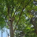 에코에코 협동조합 이미지