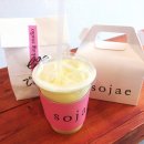 sojae( 소재 ) 이미지