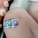 다이온약국 | [한미] 프로캄 레드엑스 크림 :: 아기 눈밑 멍 크림 후기 &amp; 타박상 초기 응급처치 꿀팁