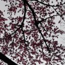 목동천길 이미지