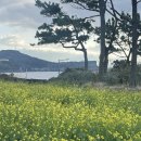 소담목장 이미지