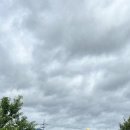 곡성-197 이미지