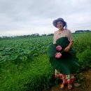 물 난리가 ♡ 이미지