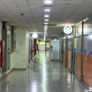 디디그루밍 이미지