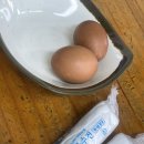 부송제일5 | 익산 부송국수 본점 첫 방문+후기, 셀프 계란 미쳤다!