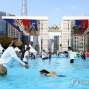 정자 반려견 이미지