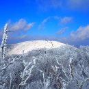 22년 신년정기산행 살아서 천년 죽어서 천년 명산의품격~~~~~~태백산(太白山) 이미지