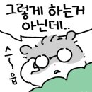 카페림스