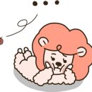 룰루베리오븐 이미지