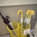 아리역로38번길 | 이천 신상카페✨ 메가커피 이천고점 방문기｜감자빵세트부터 스모어쿠키까지 맛있게 즐기기