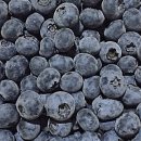 김성기농장 이미지