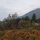 위례역푸르지오공인중개사사무소 이미지