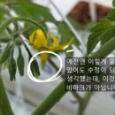 모래벌농장 이미지