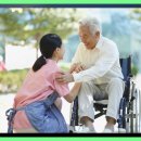 자주고름 이미지