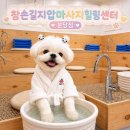 [분당마사지] 참손길지압마사지힐링센터 분당점 내 꿀통을 풀겠어!🍯