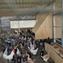 팔음농장 이미지